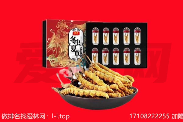 韶关回收虫草.jpg