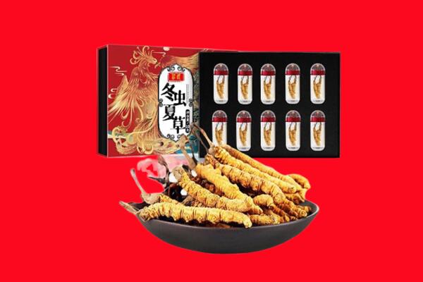 韶关回收虫草.jpg